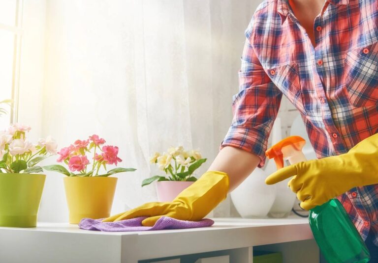 Beautiful young woman makes cleaning the house. Girl rubs dust.